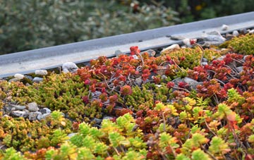the cost of Goosnargh green roof installation