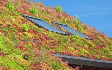 Goosnargh living roof systems